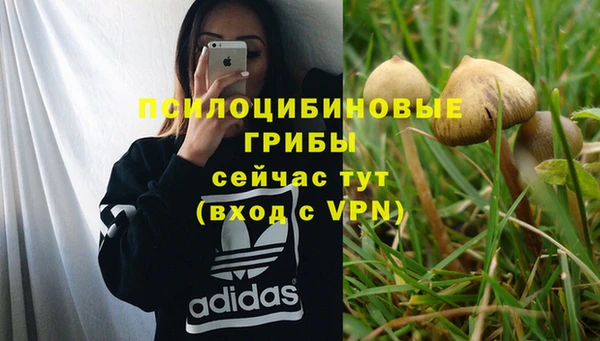 ГАЛЛЮЦИНОГЕННЫЕ ГРИБЫ Киреевск