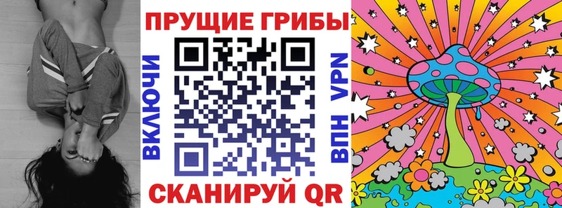 Псилоцибиновые грибы Psilocybe Мещовск