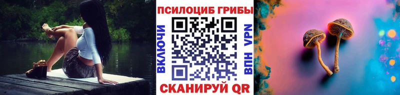 Купить Мещовск Псилоцибиновые грибы GOLDEN TEACHER